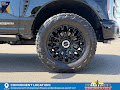2025 Ford F-350SD Platinum