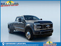 2025 Ford F-450SD Platinum